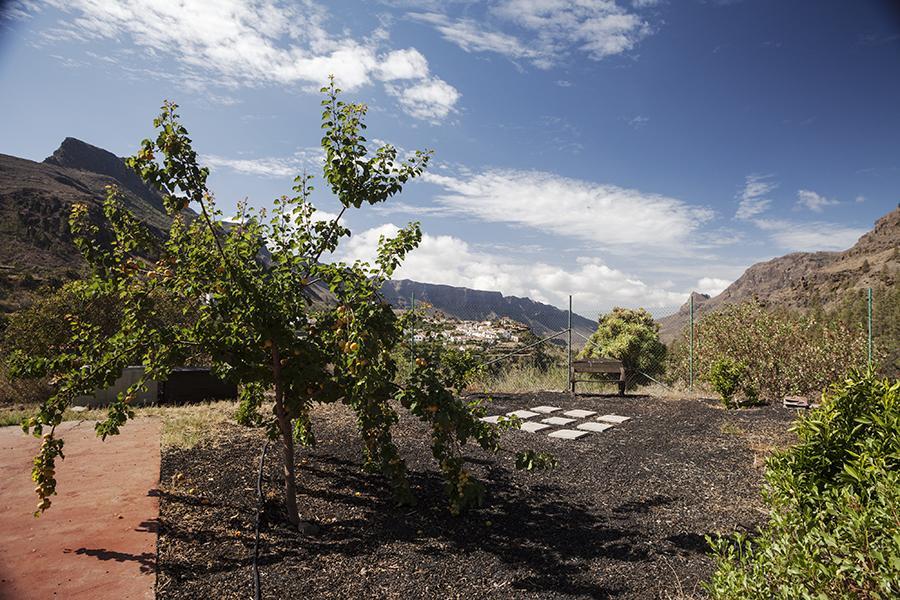 Gasthaus Ecotara Canary Islands Fátaga Zimmer foto
