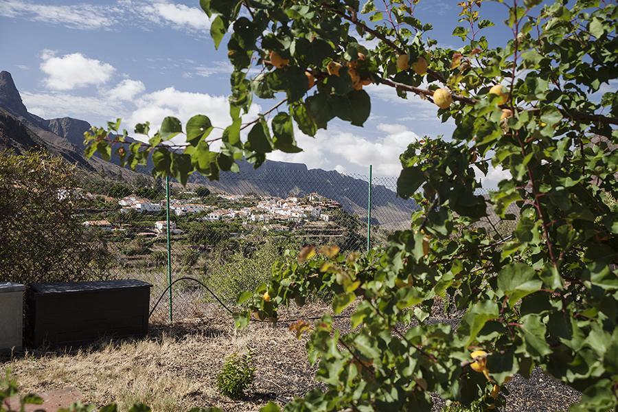 Gasthaus Ecotara Canary Islands Fátaga Zimmer foto