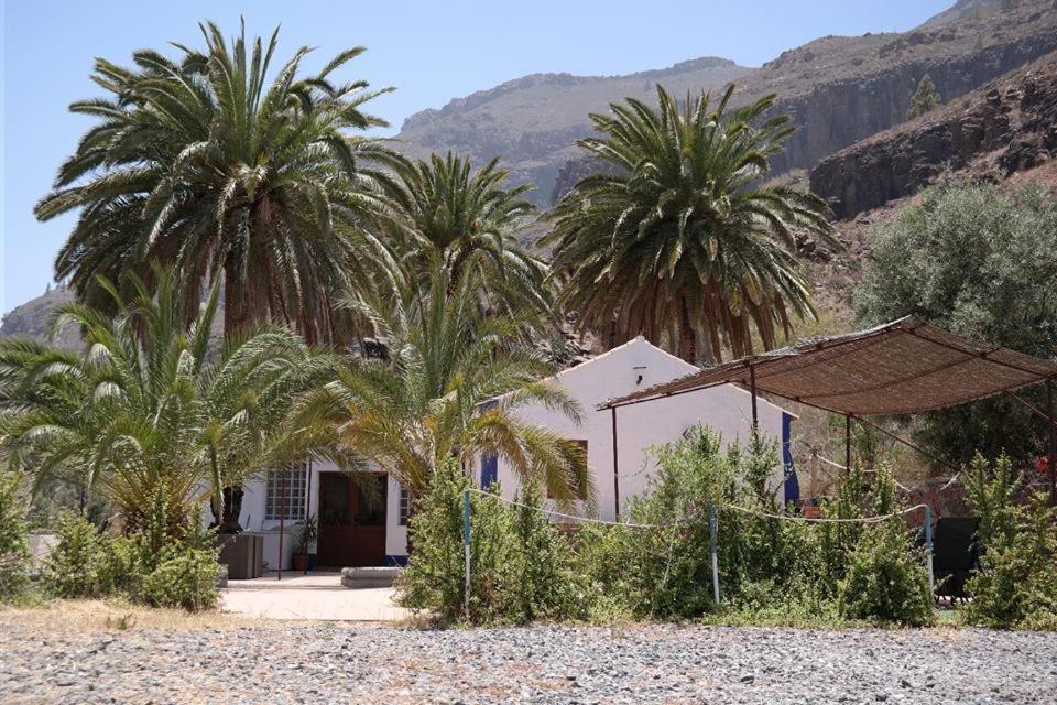 Gasthaus Ecotara Canary Islands Fátaga Exterior foto